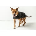 thumbnail image 2 of GF PET® DOG BLANKET JACKET - Black, 2 of 4