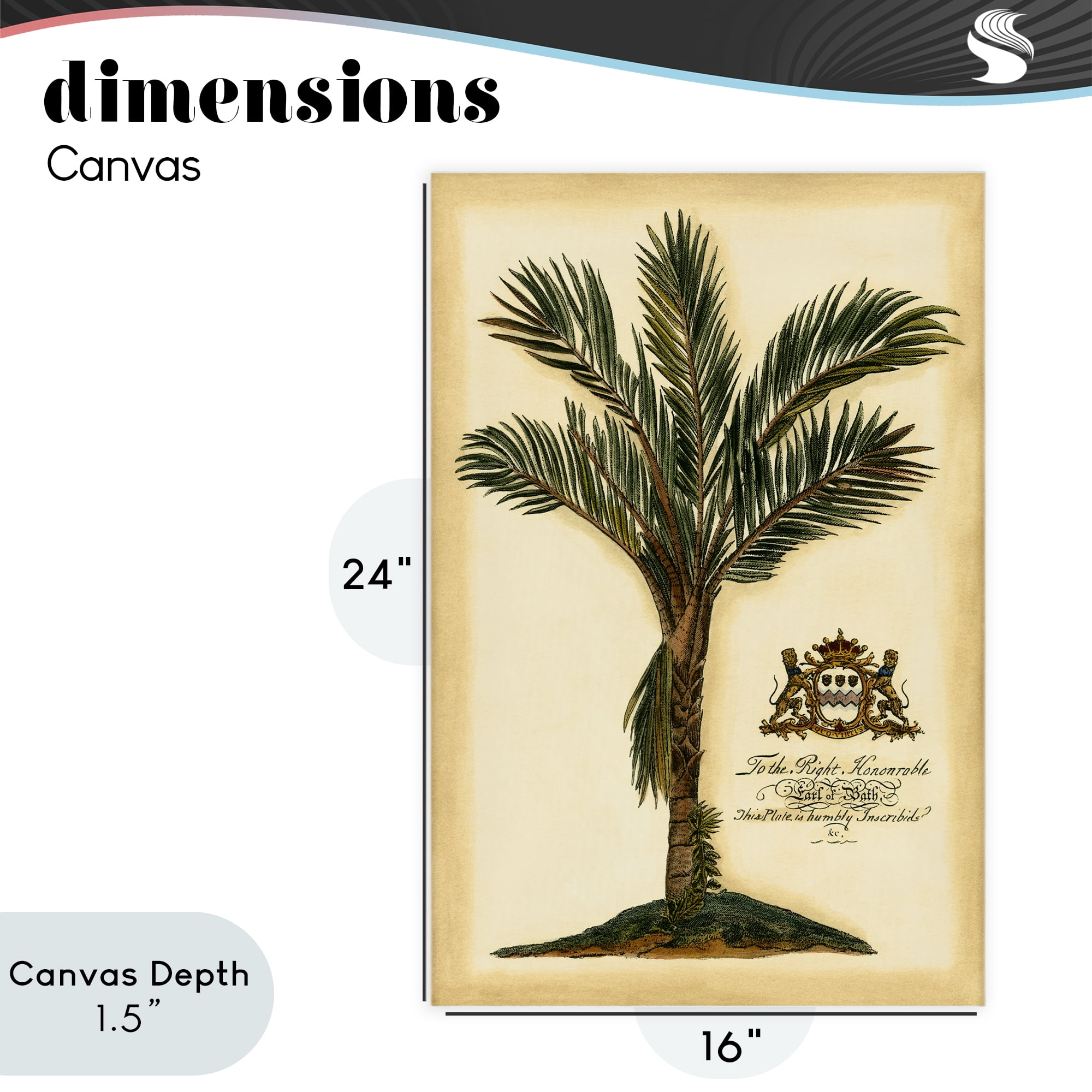 Stupell Industries Vintage Colonial Palm Canvas Wall Art, design by Vision Studio