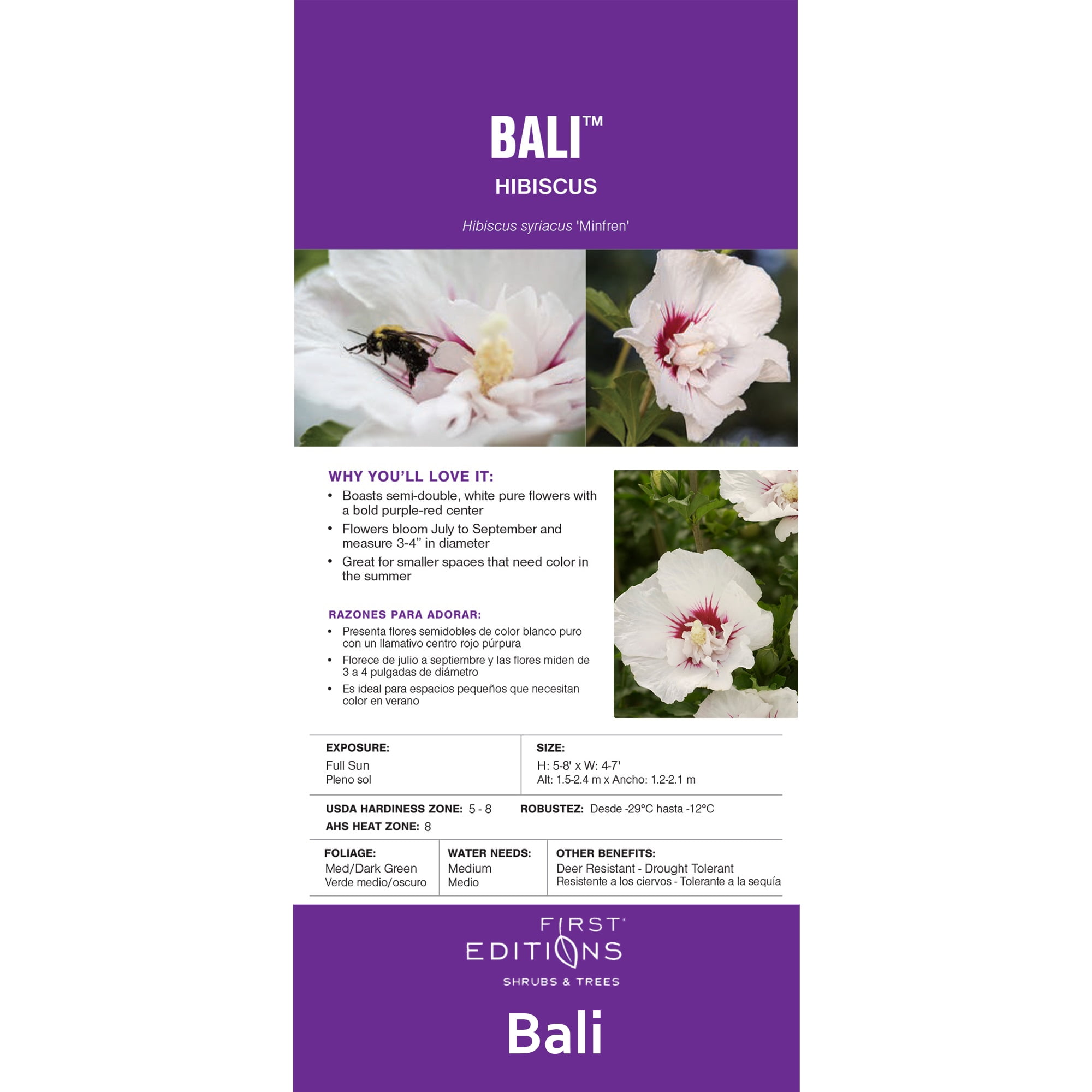 First Editions Hibiscus Bali Live Shrub in 2-Gallon Grower Pot
