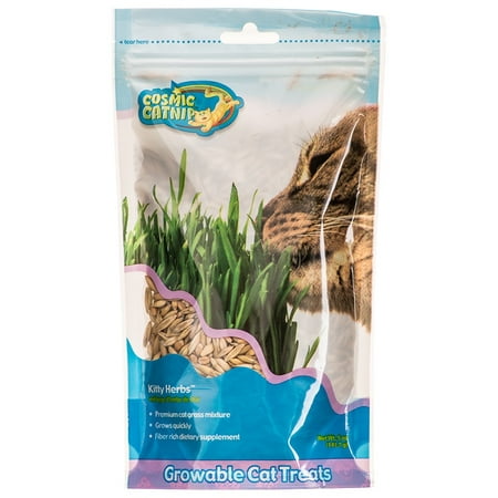 Cosmic Catnip Kitty Herbs Cat Grass Seeds 5 oz (Best Grass For Cats)