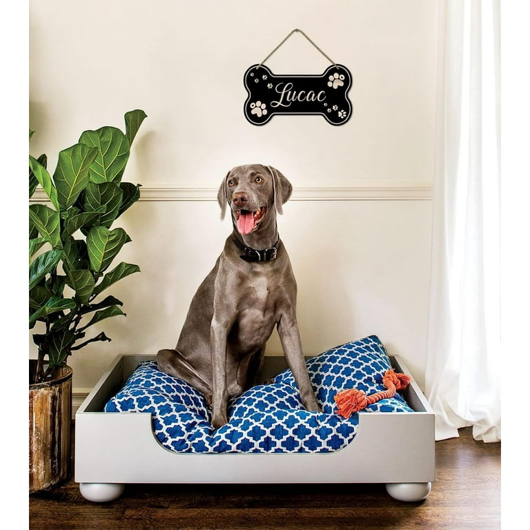 Personalized dog decor hotsell