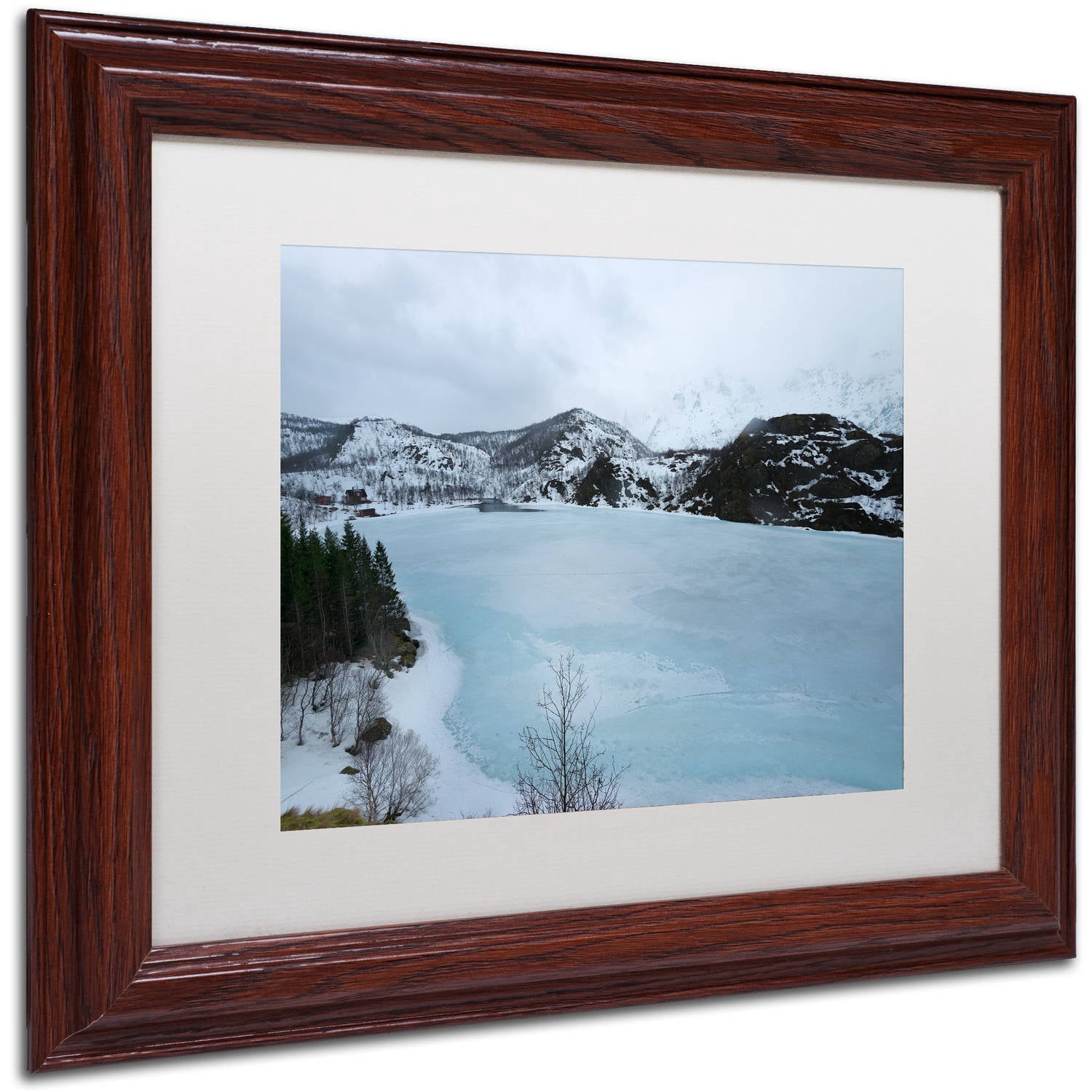 Trademark Fine Art "Picture That" Canvas Art by Philippe Sainte-Laudy, White Matte, Wood Frame
