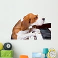 thumbnail image 1 of Dog Playing Piano Wall Mural by Wallmonkeys Peel and Stick Graphic (48 in W x 33 in H) WM298676, 1 of 4