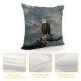 thumbnail image 4 of Orinice Bald Eagle Symbolism Graphic Decorative Pillow Case for Home Couch Living Room Sofa Bedroom - Outdoor Indoor Throw Pillow Cover 1PC 12x12in, 4 of 5