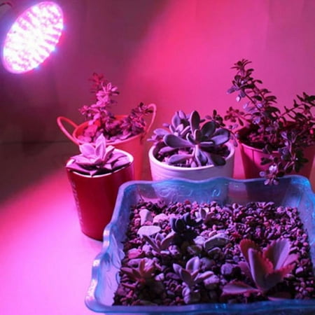 

ZBFJINX Indoor 18 Light Veg LED Hydroponic Lamp E27 Flower Full 18W Grow LED light