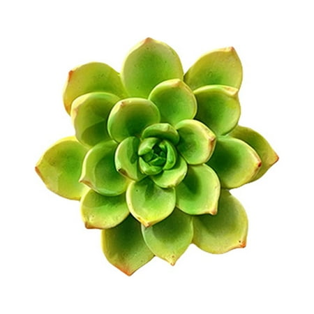 

Canis Flower Refrigerator Magnets Cute Bouquet Fridge Magnets Stickers