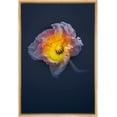 thumbnail image 3 of PixonSign Framed Canvas Print Wall Art Blue and Orange Poppy Close-Up Botanical Plants Photography Modern Art Contemporary Dramatic Multicolor Ultra for Living Room, Bedroom, Office - 24"x36" Natural, 3 of 5