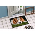 thumbnail image 4 of Carolines Treasures AMB1395JMAT Cavalier Spaniel Tapis Intérieur Ou Extérieur - 24 x 36, 4 of 4