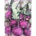 thumbnail image 3 of TomorrowSeeds - Purple Vienna Kohlrabi Seeds - 1000+ Count - For 2026 Planting USA Asian Chinese, 3 of 11