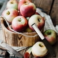 thumbnail image 2 of Yirtree Premium Apple Corer Tool - Easy to Use and Clean - Sturdy Stainless Steel Apple Remover with Sharp Serrated Tips, 2 of 8