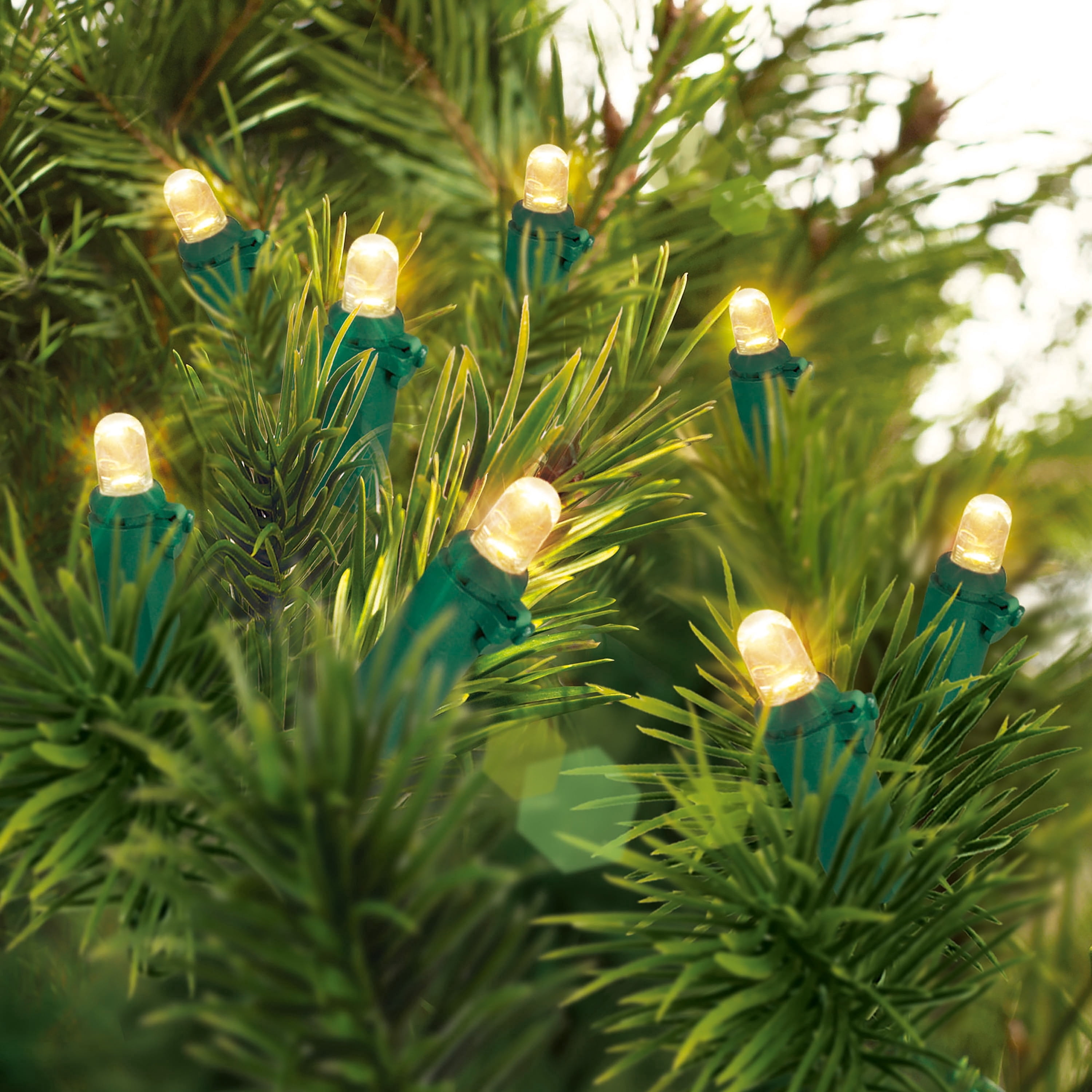 Indoor/Outdoor 240-Count LED Dome Christmas String Lights, Warm White, Green Wire, 47', by Holiday Time