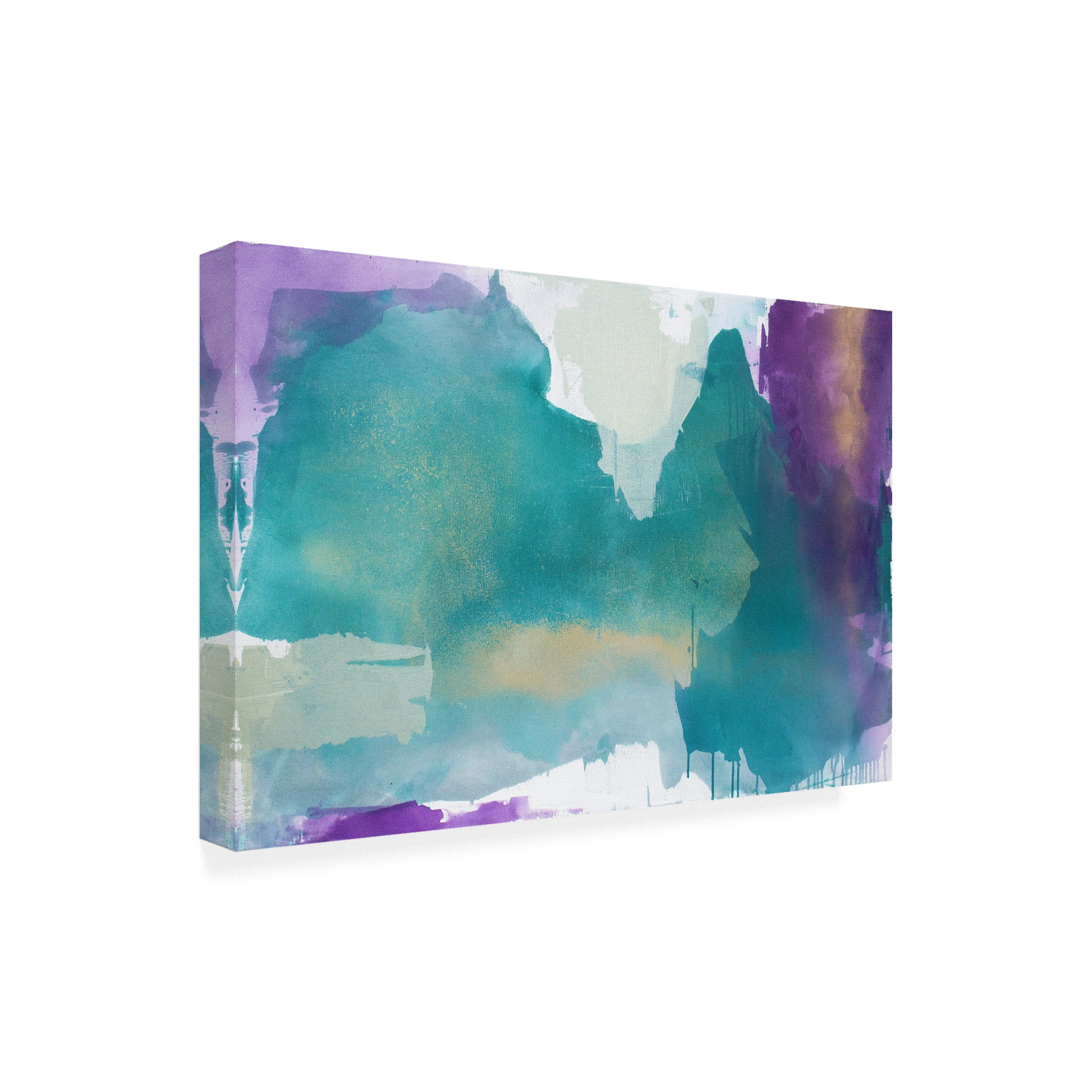 Trademark Fine Art 'Royal Velvet I' Canvas Art by Julia Contacessi