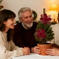 thumbnail image 1 of Hogar y cocina, Decoración del hogar, Decoración navideña, Lazo de flores navideñas decorativo de terciopelo, Adorno colgante para árbol de Navidad, Colgante de poliéster, 1 of 6