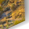 thumbnail image 3 of Epic Art 'Desert Ocotillo Landscape' by John Gavrilis, Acrylic Glass Wall Art, 16"x12", 3 of 8