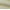 Ivory-Wheat, variant on Noble Linens 4 Piece Pattern Microfiber Bed Sheets Set, Pale Wheat, Queen