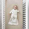 thumbnail image 4 of HALO® SleepSack® Swaddle - Cotton - Winnie Frolic, Small, 1 pack, 4 of 9