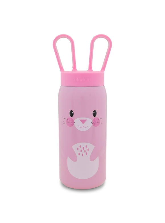 Aladdin Water Bottles in Travel Drinkware