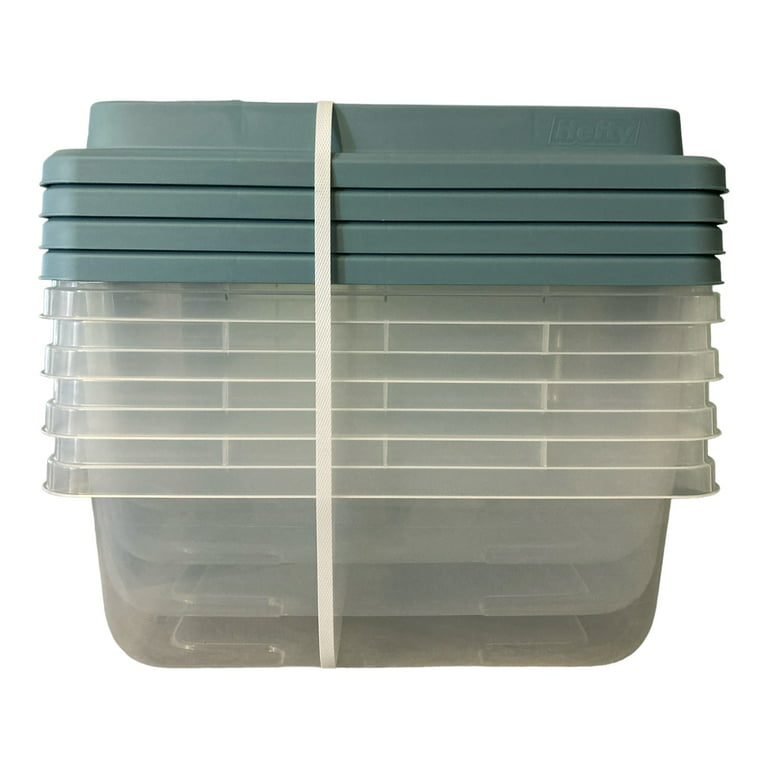 Richeson Clear Plastic Storage Container MultiPacks
