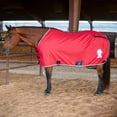 thumbnail image 4 of Classic Equine  Closed Front Stable Sheet Black XL, 4 of 4