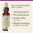 thumbnail image 3 of Flower Essence Bach Original Heather, 10 ml, sin alcohol, 3 of 7