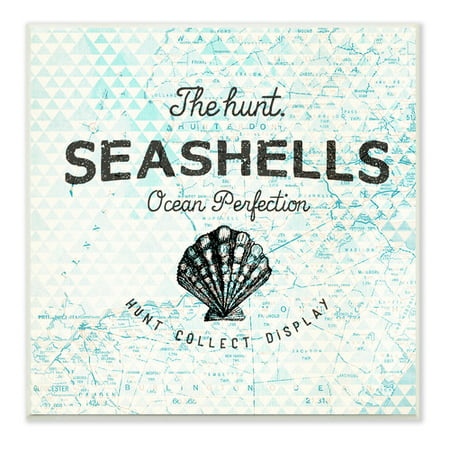 Stupell Industries Seashells Hunt, Collect, Display with Scallop Shell Graphic Art Wall (Best Way To Display Seashells)