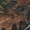 LOOGU SUPER Tree camo, variant on LOOGU Mens Camo Shirts, Camouflage T Shirt Hunting, Performance Shirts Crewneck Short Sleeve Tee for Men