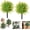 Yellow, variant on Artificial Potted Trees with Ground Stakes – UV Resistant Camellia Topiary, Artificial Plants and Flowers Decoration Realistic Fake Bushes for Home Garden Yard Home Decor (2, White)