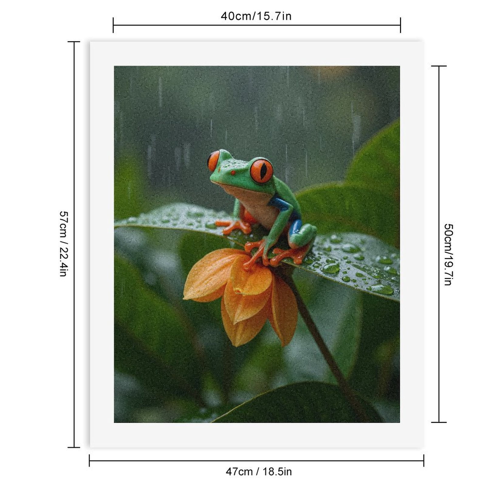 Paint by Numbers Kit for Adults, Tree Frog On Leaf In Rain Paint by Numbers, Easy Paint by Numbers Kit for Adults Beginner, DIY Adult Paint by Number Kits on Canvas, Home Decor