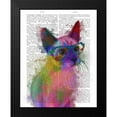 thumbnail image 2 of Fab Funky 20x24 Black Modern Framed Museum Art Print Titled - Rainbow Splash Cat 2, 2 of 5
