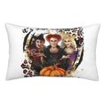 thumbnail image 1 of Fundas de almohada Hocus Pocus, fundas de almohada mullidas súper suaves y acogedoras con cremallera, 20 x 30 pulgadas, dormitorio, sofá, sillón, funda de almohada para todas las estaciones, 1 of 8
