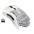 thumbnail image 1 of 2.4GHz Wireless Mouse USB Rechargeable 1600DPI Adjustable Hollow Out Honeycomb RGB Optical Mouse Gamer Mice white, 1 of 5