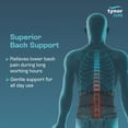 thumbnail image 4 of Tynor Back Support Belt, Black, Small, 1 Unit, 4 of 5