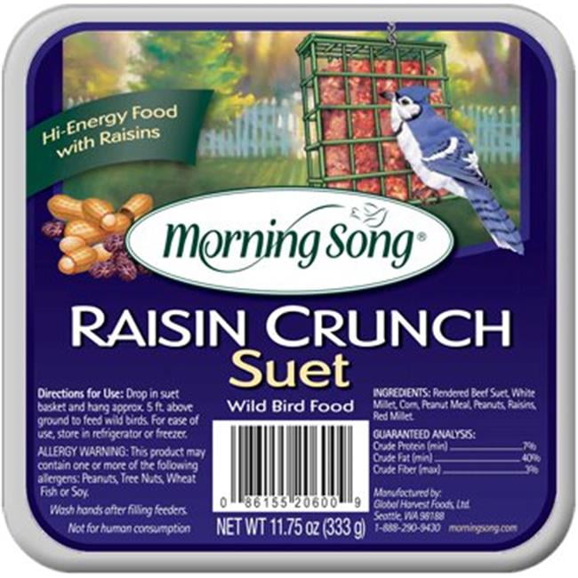 Morning Song 11436 11.75 oz Raisin Crunch Suet Wild Bird Food Walmart