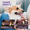thumbnail image 6 of JFEYV Pet Oral Repair Gel for Dogs and Cats, Teeth Cleaning Pen, Whitening Gel, Fresher Breath (2-Pack), 6 of 8