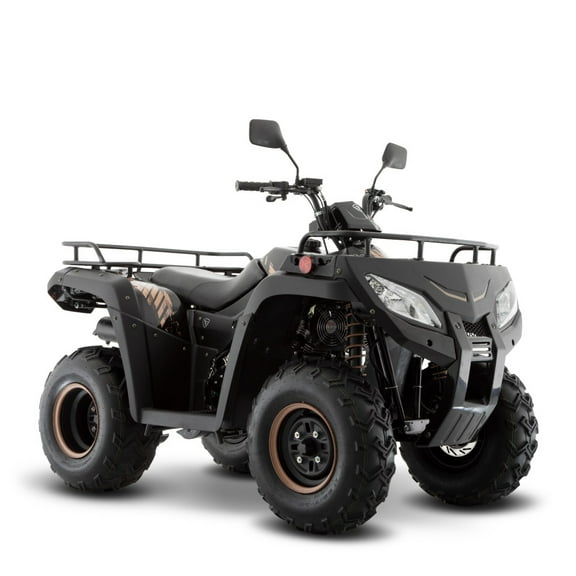 ATV250 ITALIKA Cuatrimoto Negro