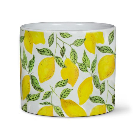 Set of 6 Sunny Lemons Large Planter