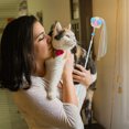 thumbnail image 2 of Weiweiguan 2pcs Cat Playing Rods Cat Interactive Toy Kitten Cat Toy Cat Teaser Stick, 2 of 6
