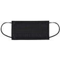 FLTR General Use Disposable Face Mask Black 75 Count