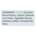 thumbnail image 4 of Spry Xylitol Chewing Gum, Dental Defense, Aspartame-Free Sugar-Free, Wintergreen, 100 pieces 1 pack, 4 of 5