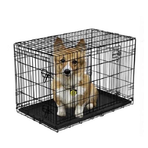 Dog Potty Training Crate: Essential Tips for Success