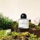 thumbnail image 2 of Unique Rose Unisex Men's Perfume, 2 of 2