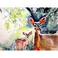 thumbnail image 2 of Kovacs, Anna Brigite 14x12 Gold Ornate Wood Framed with Double Matting Museum Art Print Titled - Deer in the Sun II, 2 of 4