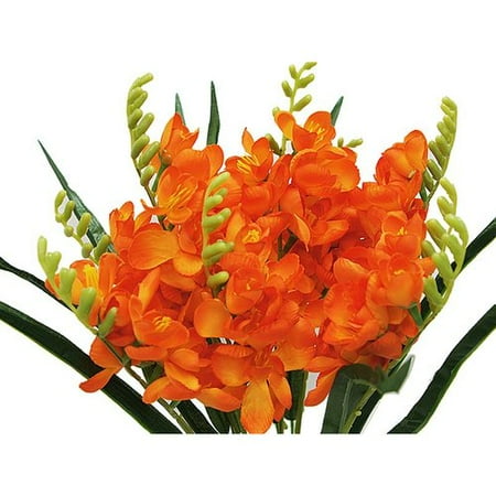 Ya Ya 4 Heavenly Mount Olympus Freesia Bushes Walmart.com Ya Ya 4 Heavenly Mount Olympus Freesia Bushes Walmart.com