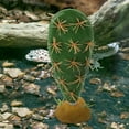 thumbnail image 3 of UPOUART Reptile Habitat Artificial Plant Green Plastic Cactus Shape Environment 1 Set, 3 of 8