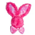 thumbnail image 1 of Pink Bunny Dress Up Kit - Adult, 1 of 5