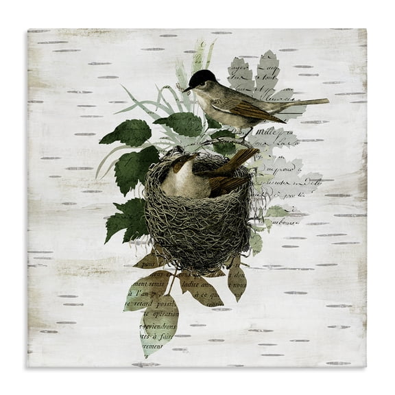 Stupell Industries Cottage Birds in Vintage Nest Canvas Art, 17 x 17, by Susan Arnot