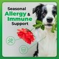 thumbnail image 4 of VetriScience Healthy Skin & Coat Omega-3 Supplement Chews for Dogs, Salmon Flavor, 70 Count Bag, 4 of 9