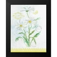 thumbnail image 2 of Della-Piana, Elissa 19x24 Black Modern Framed Museum Art Print Titled - Flower Study on Lace X, 2 of 5