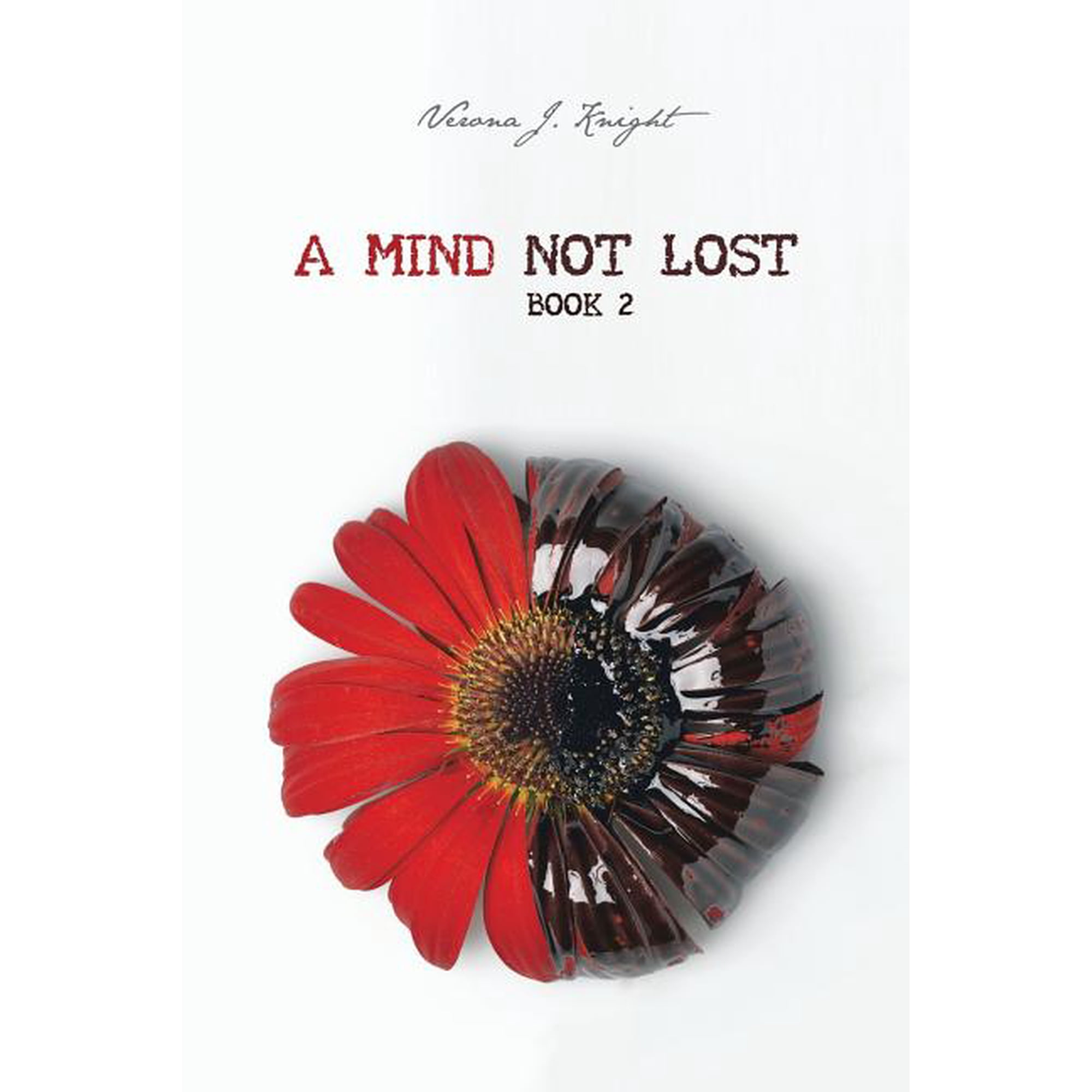 A Mind Not Lost: Book 2 (Paperback)