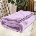 thumbnail image 2 of Btomtd 30"x40" Plain Color Flannel Blanket Winter Warm Velvet Air Conditioning for Picnic Aviation Leg Use Cozy Throw Blanket Soft Bed Blanket, Light Purple, 2 of 7